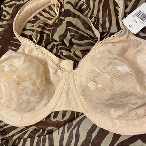 QT Intimates gorgeous crème lace BRA size 46D New with tags